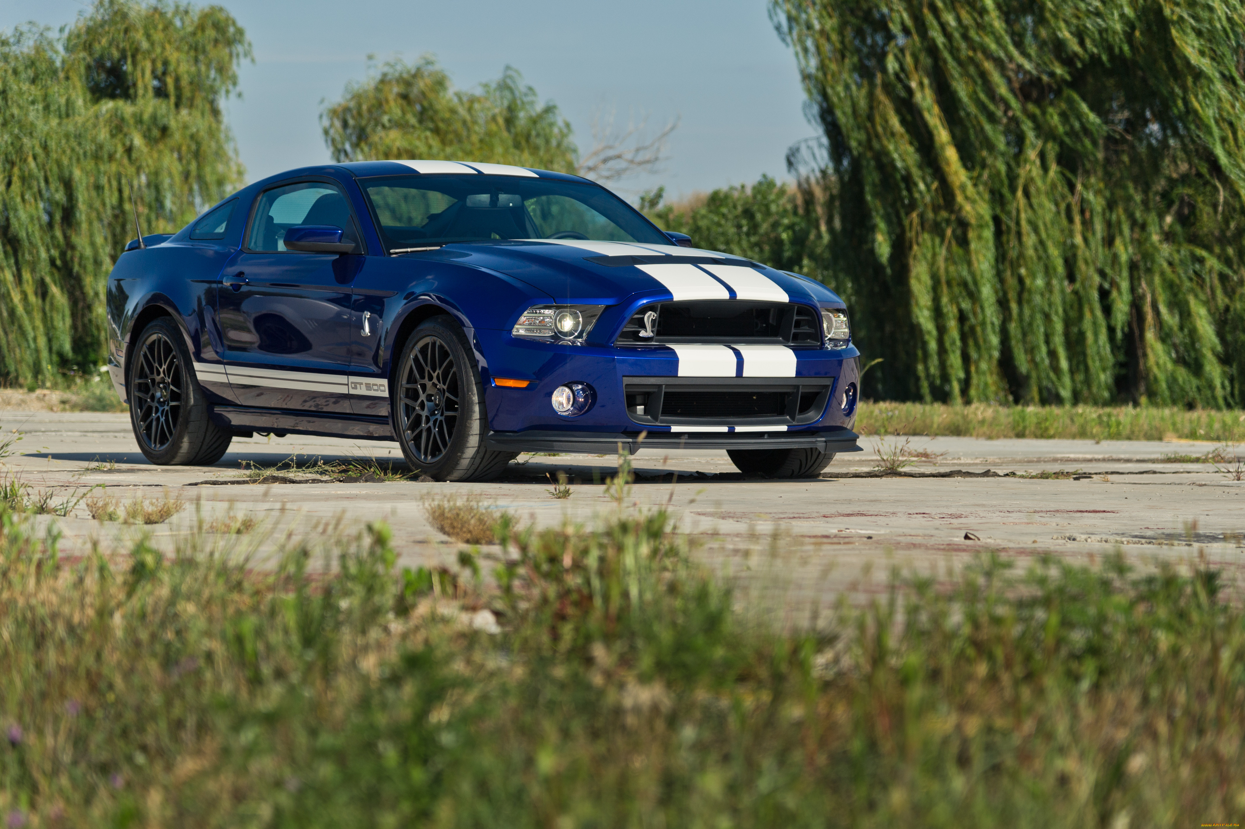 ford, mustang, shelby, gt500, , , , 